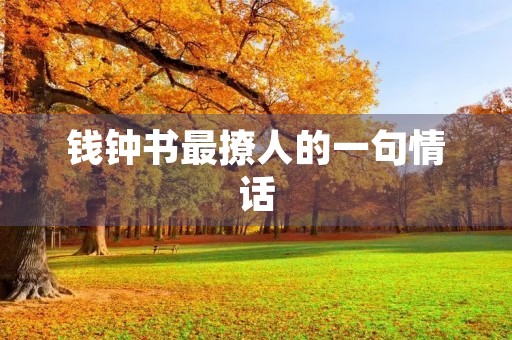 钱钟书最撩人的一句情话，钱钟书最撩人的一句情话英文