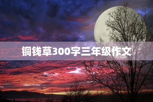 铜钱草300字三年级作文