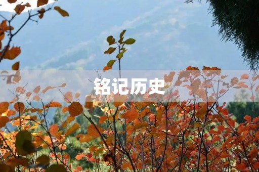 铭记历史，振兴中华