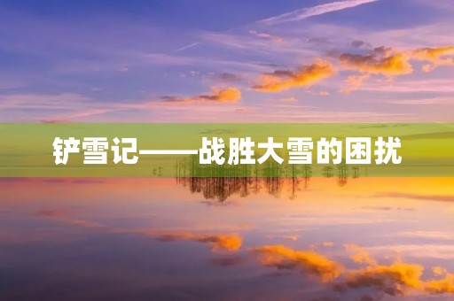 铲雪记——战胜大雪的困扰
