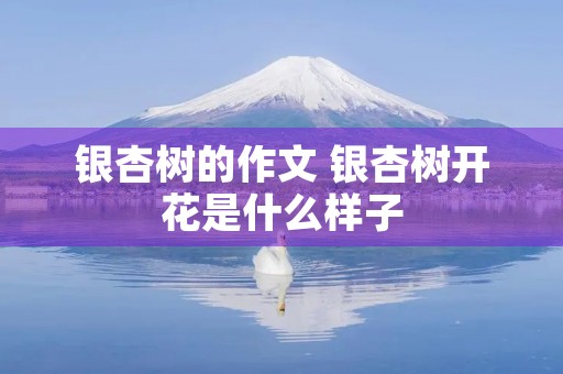 银杏树的作文 银杏树开花是什么样子 银杏树的作文 银杏树开花是什么样子