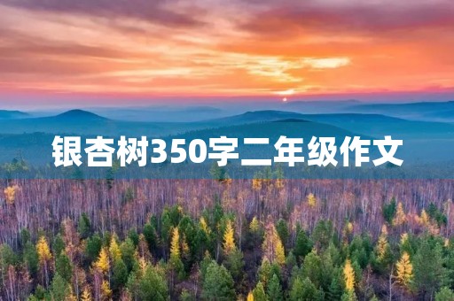 银杏树350字二年级作文