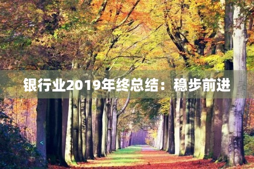 银行业2019年终总结：稳步前进，开拓创新