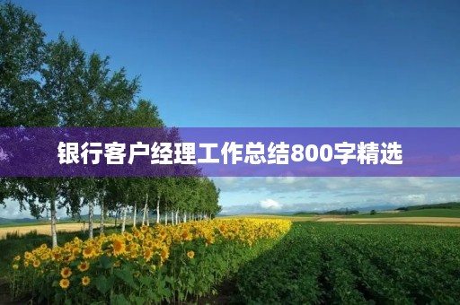 银行客户经理工作总结800字精选