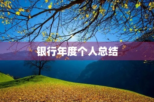 银行年度个人总结