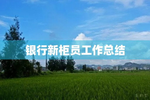 银行新柜员工作总结 银行新柜员工作总结