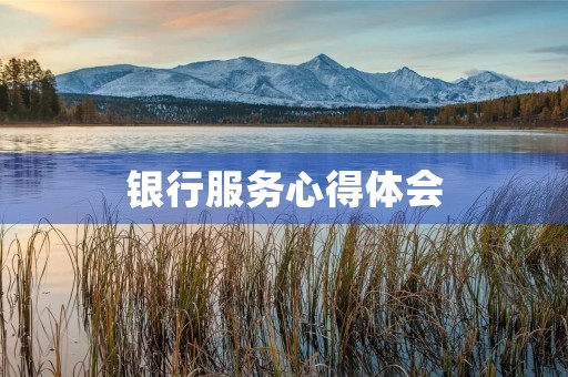 银行服务心得体会