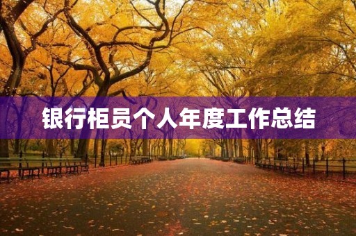 银行柜员个人年度工作总结