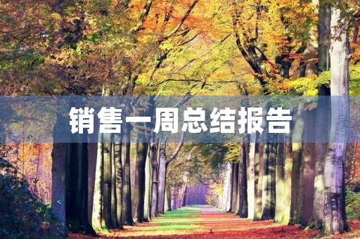 销售一周总结报告