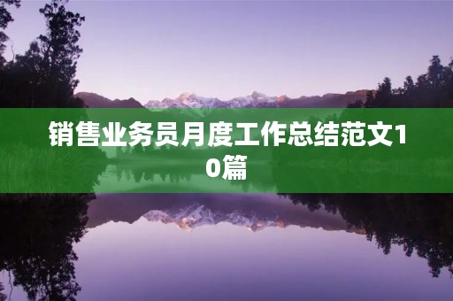 销售业务员月度工作总结范文10篇