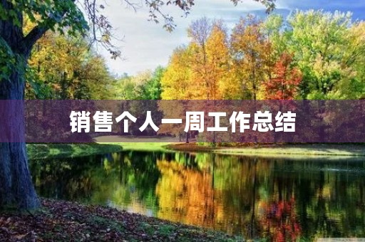 销售个人一周工作总结