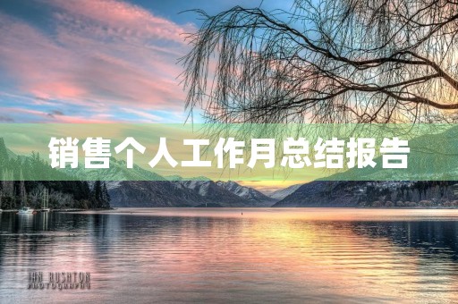 销售个人工作月总结报告