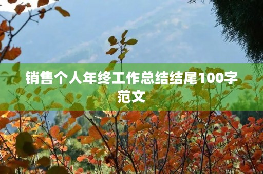 销售个人年终工作总结结尾100字范文
