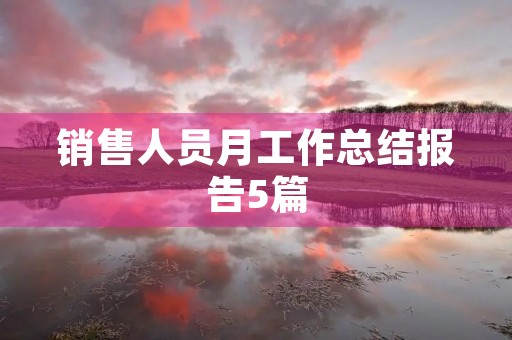销售人员月工作总结报告5篇