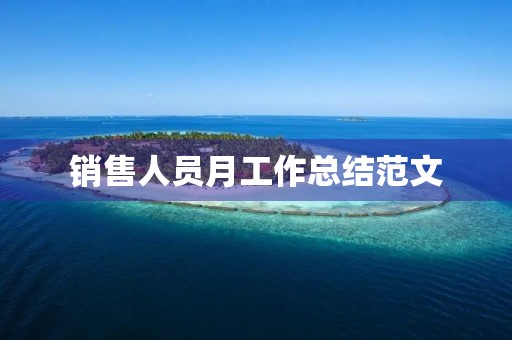 销售人员月工作总结范文