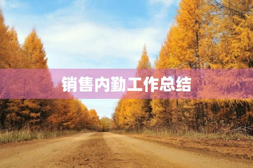 销售内勤工作总结
