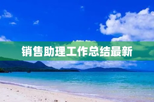 销售助理工作总结最新