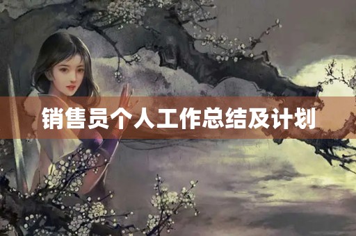 销售员个人工作总结及计划 销售员个人工作总结及计划