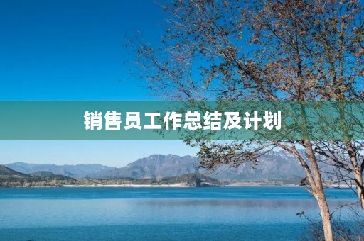 销售员工作总结及计划 销售员工作总结及计划