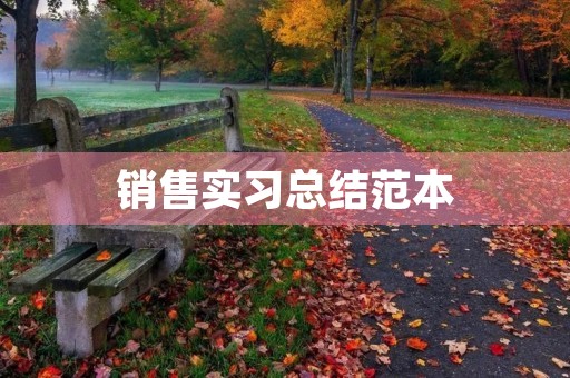 销售实习总结范本 销售实习总结范本