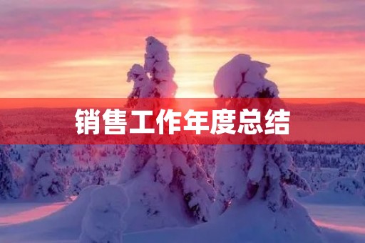 销售工作年度总结 销售工作年度总结