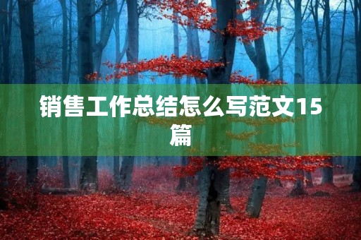 销售工作总结怎么写范文15篇