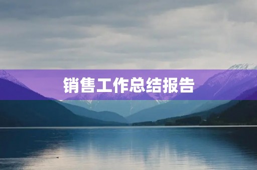 销售工作总结报告