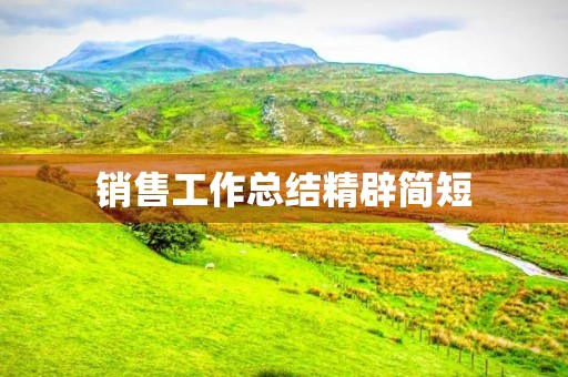 销售工作总结精辟简短