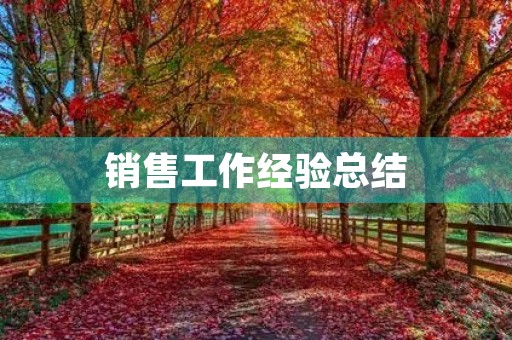 销售工作经验总结