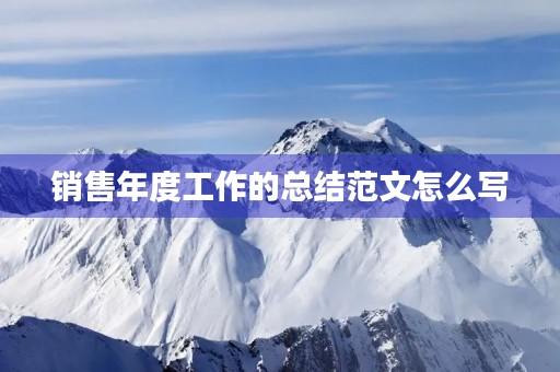 销售年度工作的总结范文怎么写 销售年度工作的总结范文怎么写