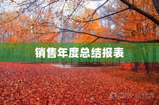 销售年度总结报表