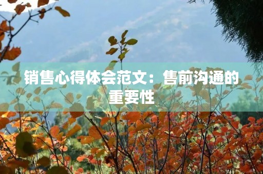 销售心得体会范文:售前沟通的重要性 销售心得体会范文:售前沟通的重要性