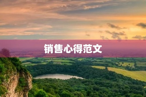 销售心得范文