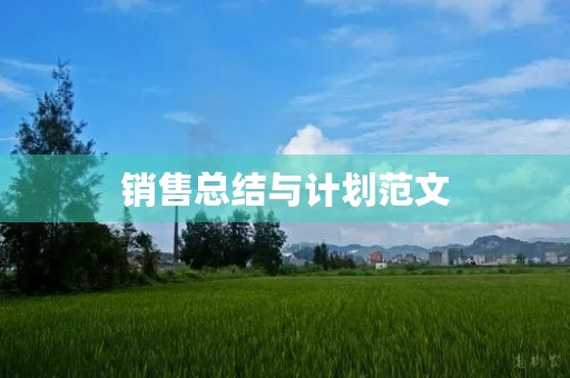 销售总结与计划范文