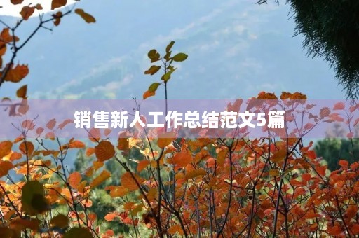 销售新人工作总结范文5篇