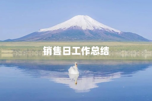 销售日工作总结