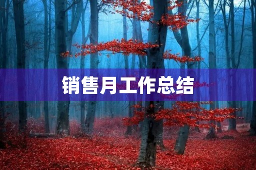 销售月工作总结