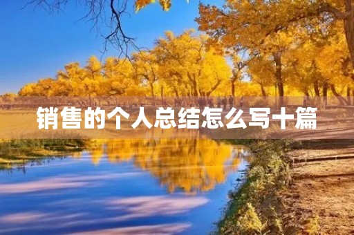 销售的个人总结怎么写十篇