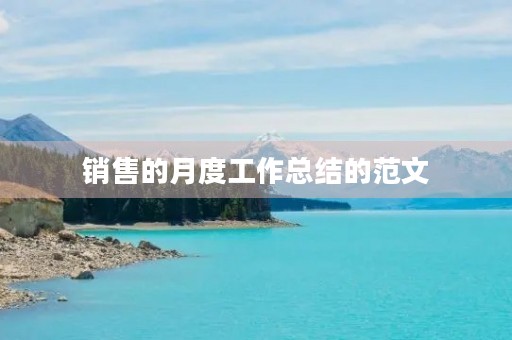 销售的月度工作总结的范文