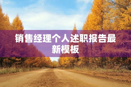 销售经理个人述职报告最新模板