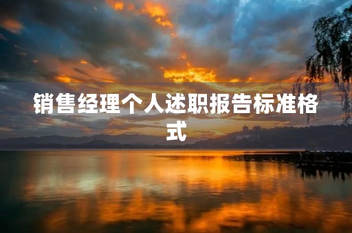 销售经理个人述职报告标准格式