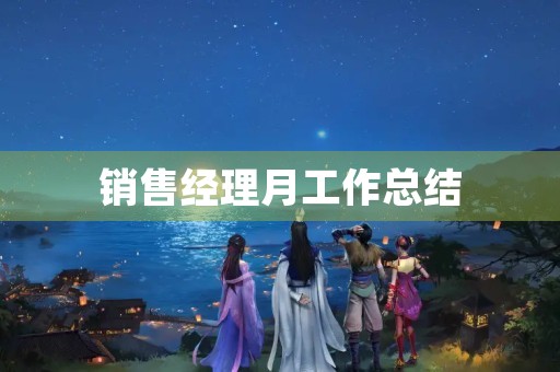 销售经理月工作总结