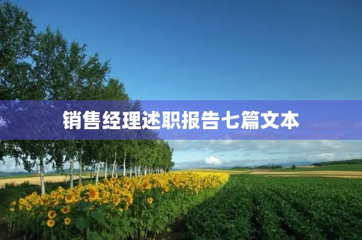 销售经理述职报告七篇文本