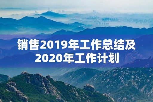 销售2019年工作总结及2020年工作计划