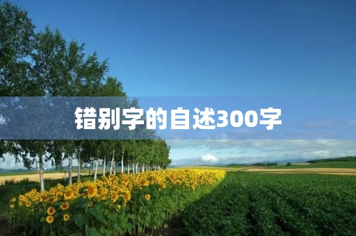 错别字的自述300字
