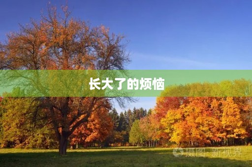 长大了的烦恼