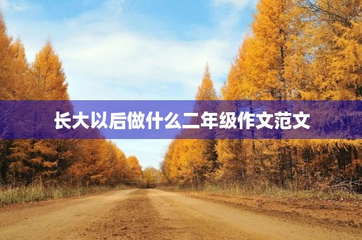 长大以后做什么二年级作文范文