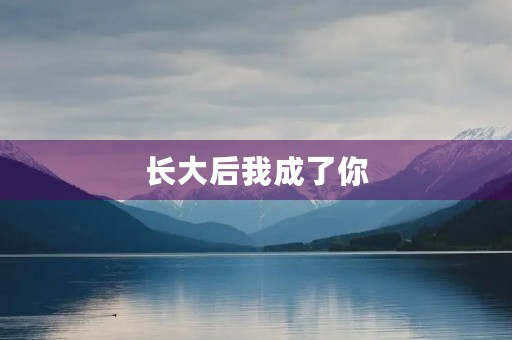 长大后我成了你 长大后我成了你