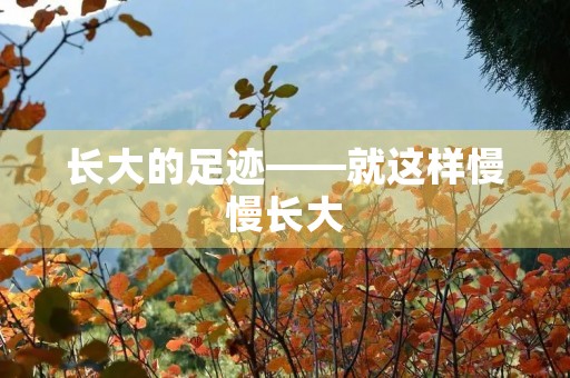长大的足迹——就这样慢慢长大 长大的足迹——就这样慢慢长大