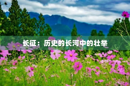 长征：历史的长河中的壮举